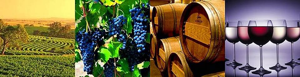 Armidale Accommodation - Wineries